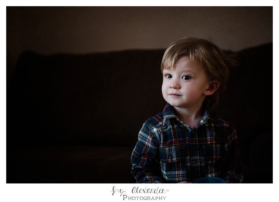 Blauvelt, twin boys, family photographs, toddlers