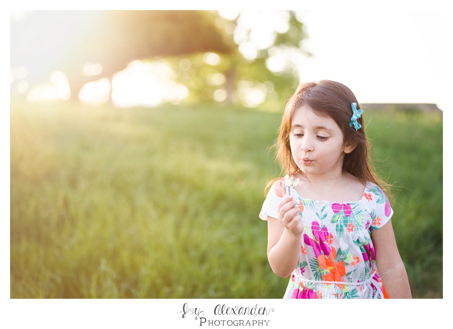 Rockwood Hall State Park, outdoor child photographs, dandelion blowing, colorful little girl photographs
