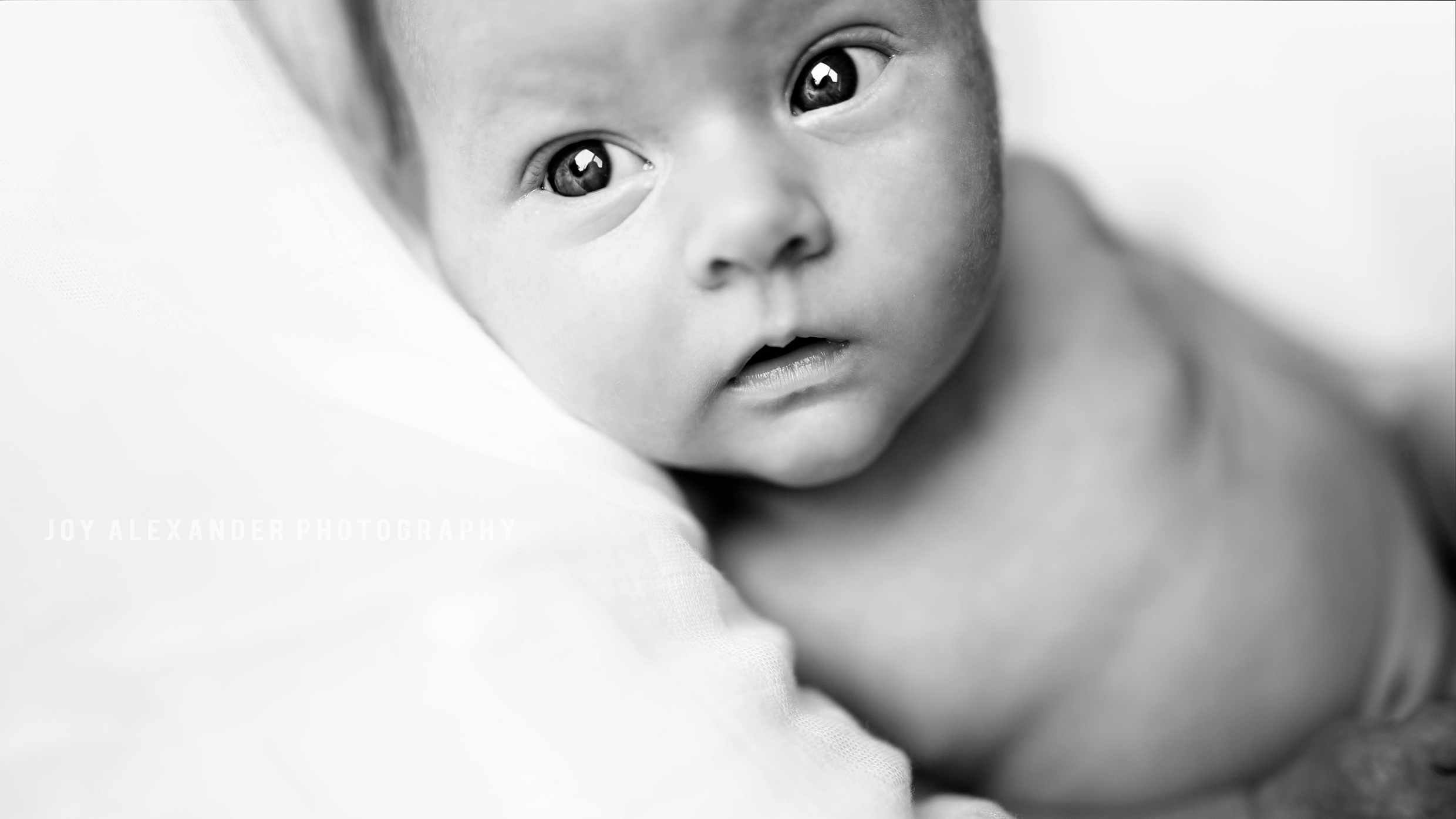 dockland county newborn photographer, newborn, baby girl, black and white child photo