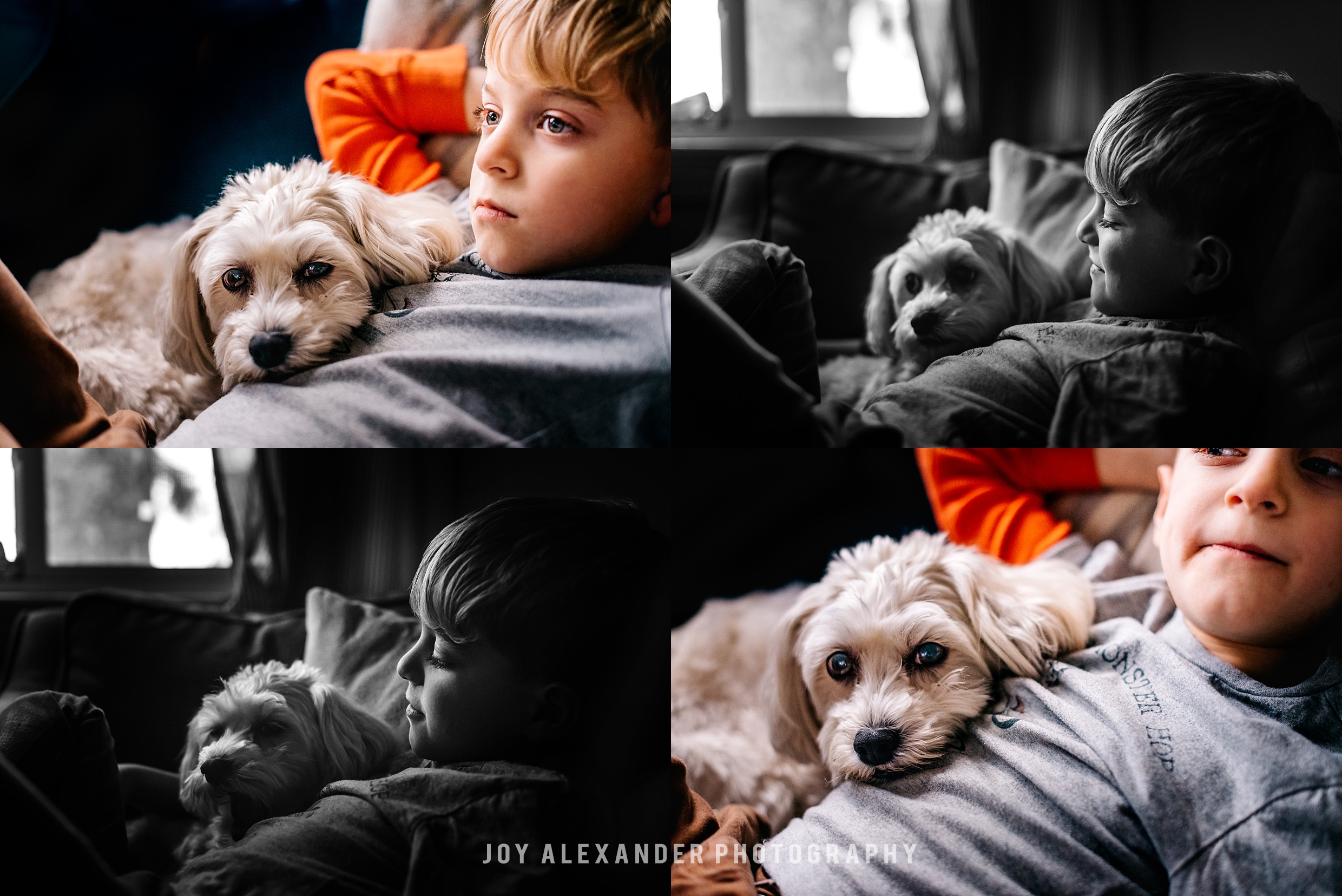 Nyack, Rockland County, boy and his dog