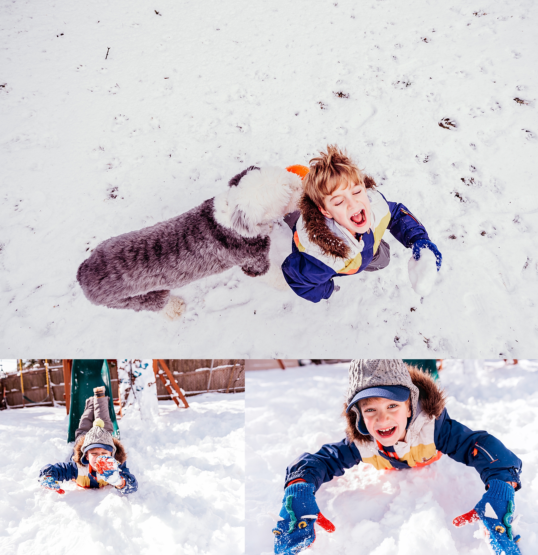 Little boy and his old english sheepdog playing in the snow things to do in winter new york